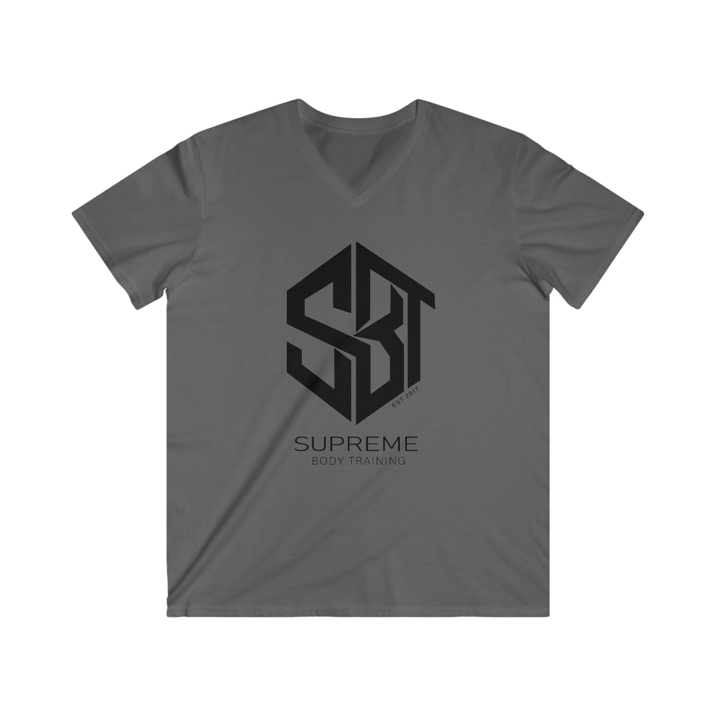 Men's Fitted V-Neck Short Sleeve Tee