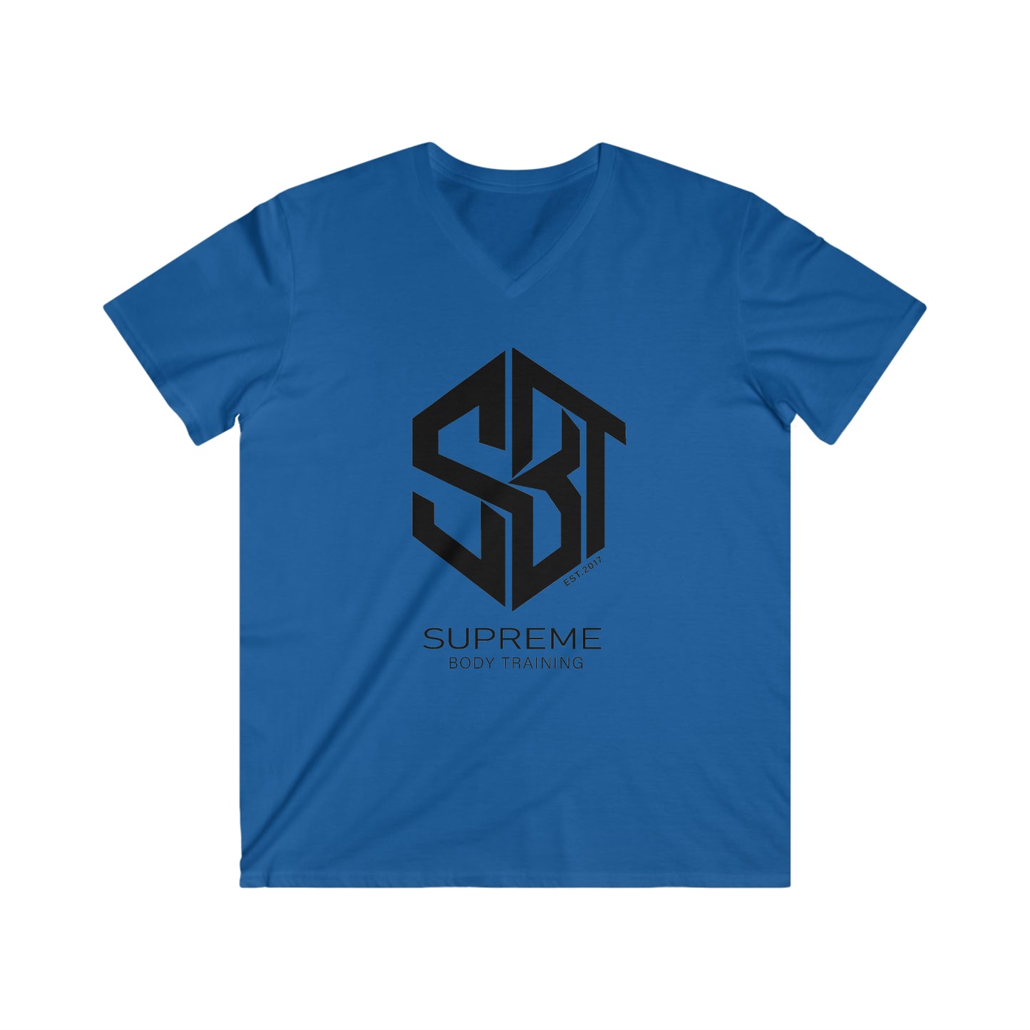 Men's Fitted V-Neck Short Sleeve Tee