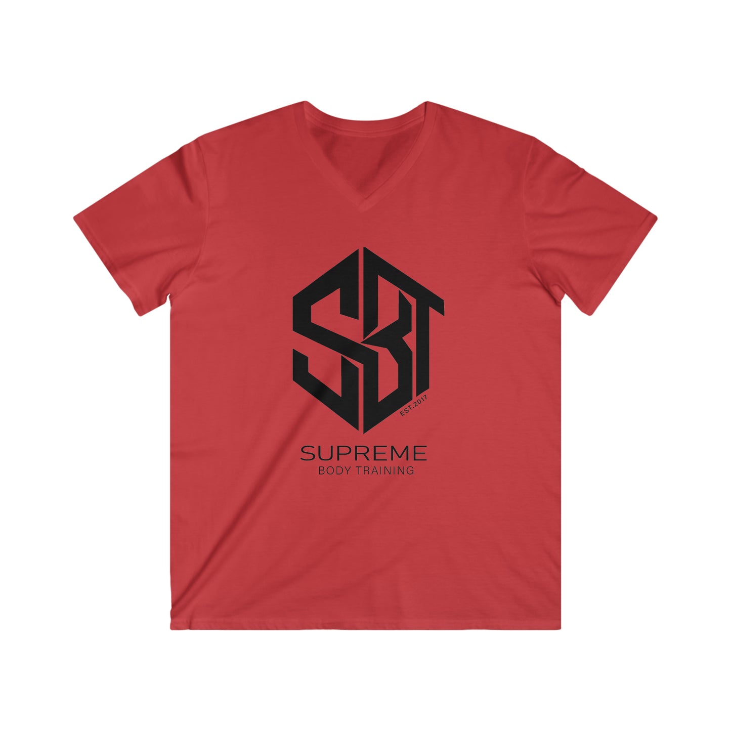 Men's Fitted V-Neck Short Sleeve Tee