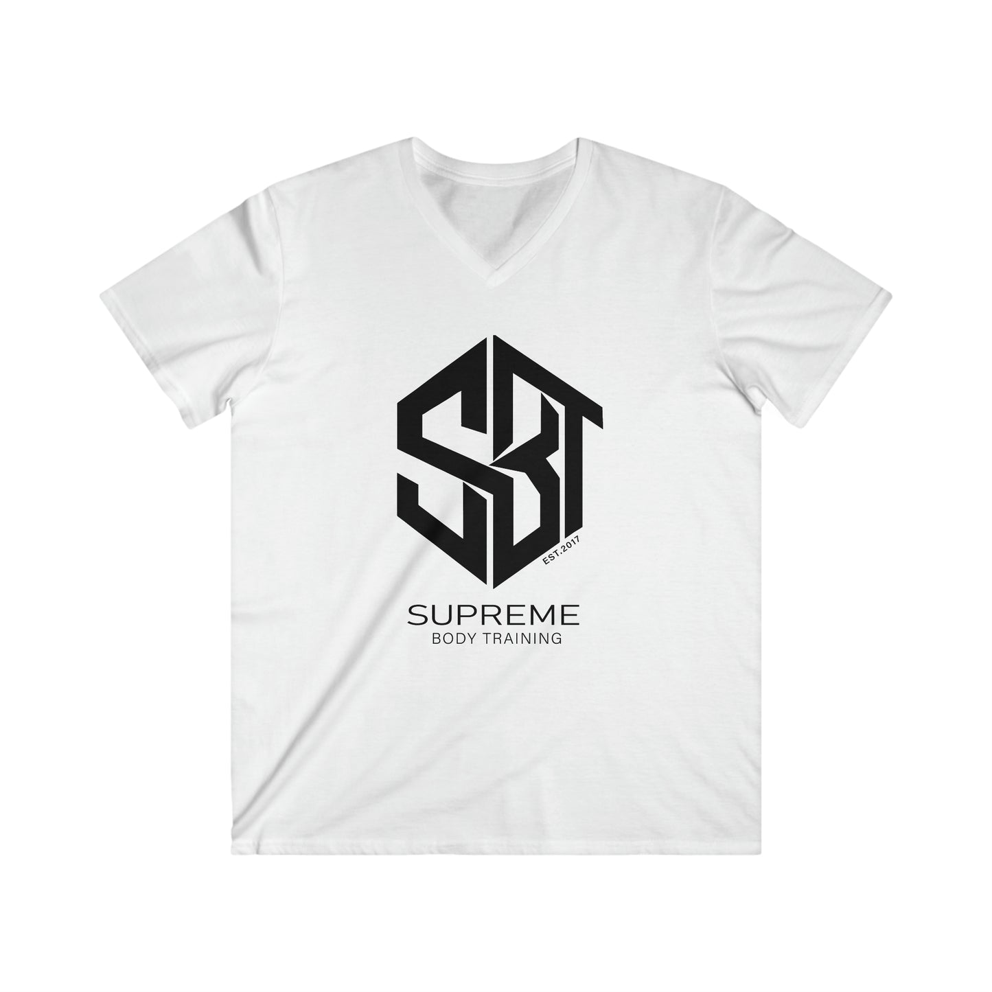 Men's Fitted V-Neck Short Sleeve Tee