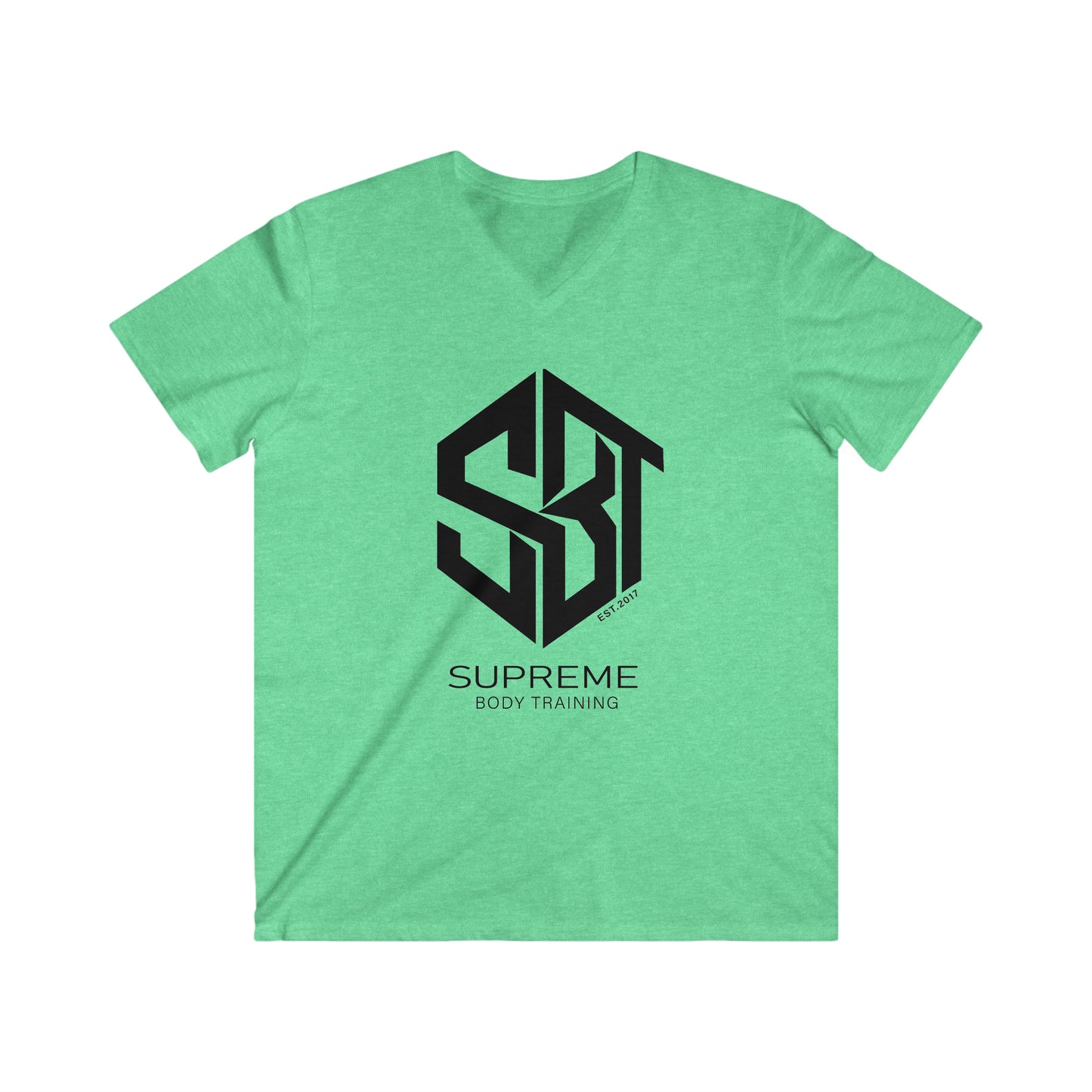 Men's Fitted V-Neck Short Sleeve Tee