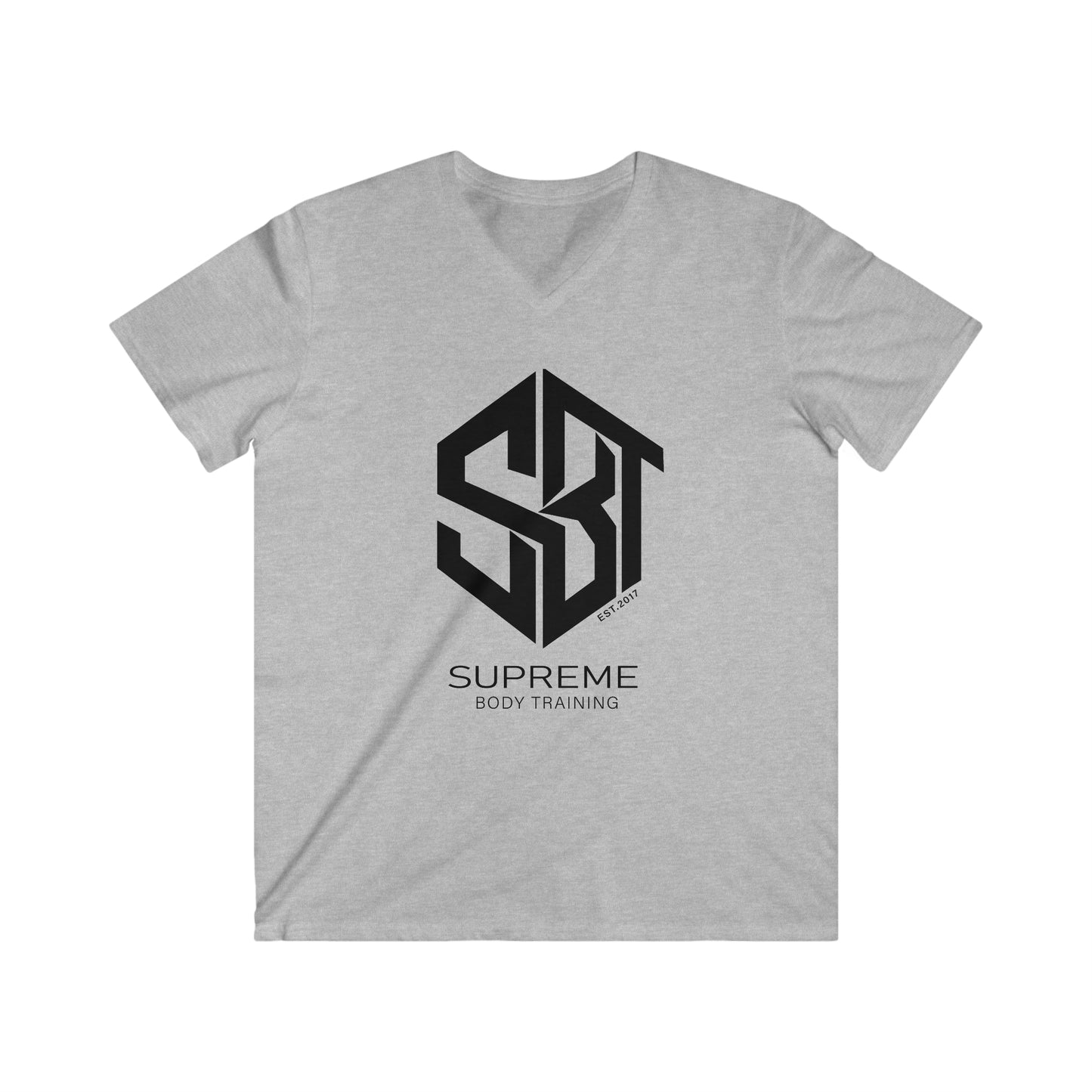 Men's Fitted V-Neck Short Sleeve Tee