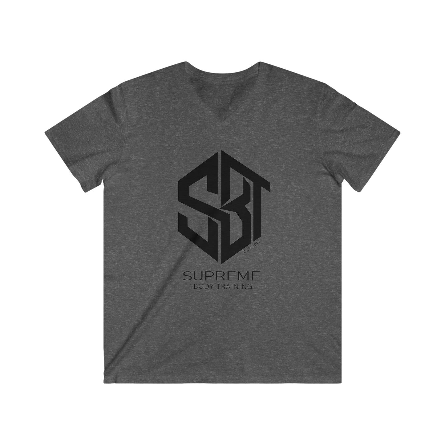 Men's Fitted V-Neck Short Sleeve Tee