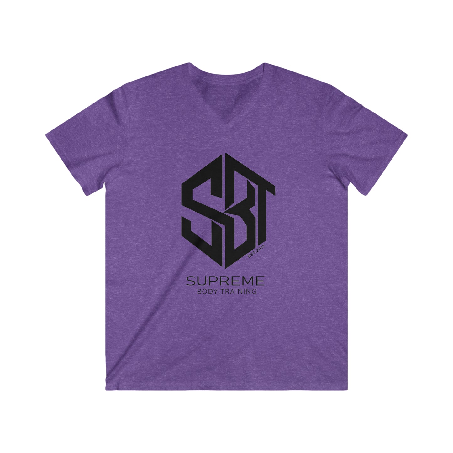 Men's Fitted V-Neck Short Sleeve Tee